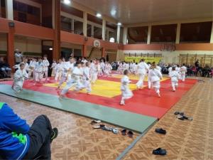 2. pokal Žovneka v judu 2